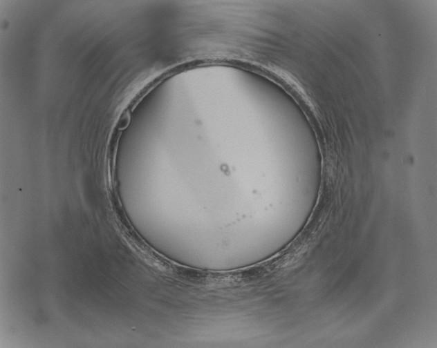 X0000071900887200607281800