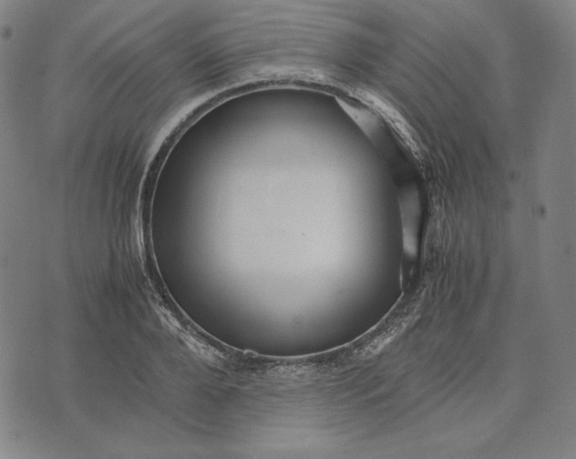 X0000071900888200607281800