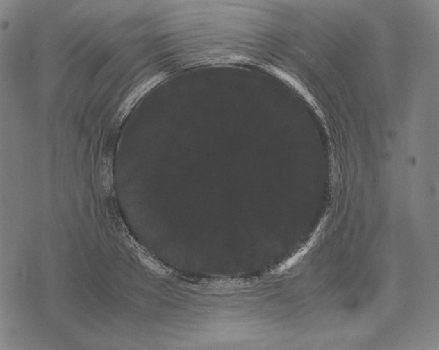 X0000071900889200607281800