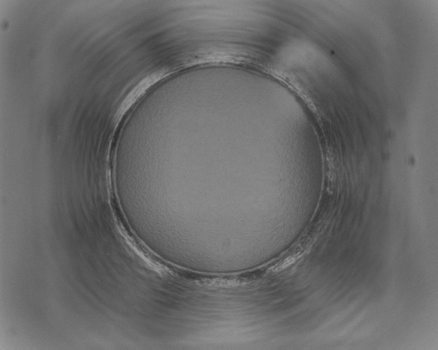 X0000071900890200607281800