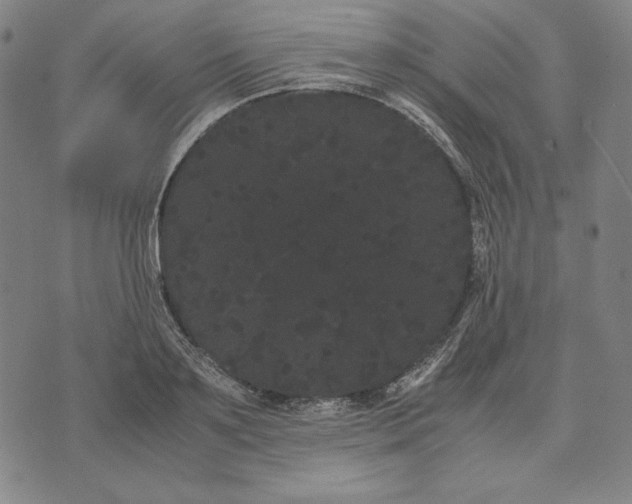 X0000071900891200607281800