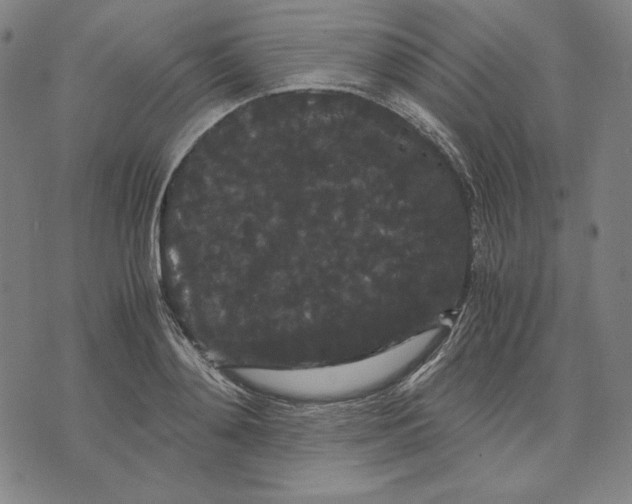 X0000071900892200607281800