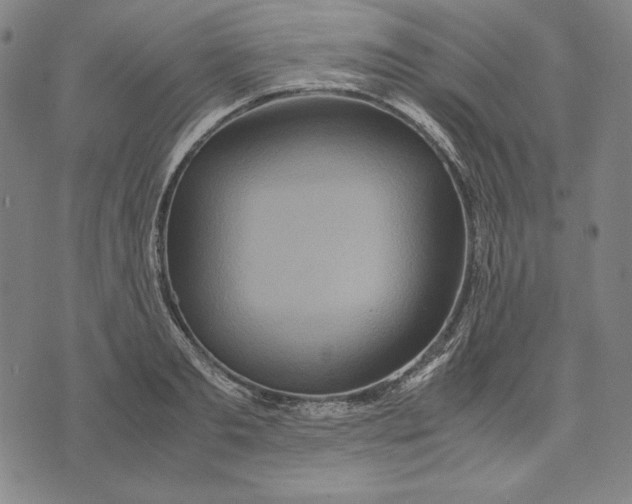 X0000071900893200607281800