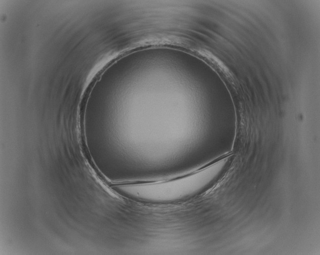 X0000071900894200607281800