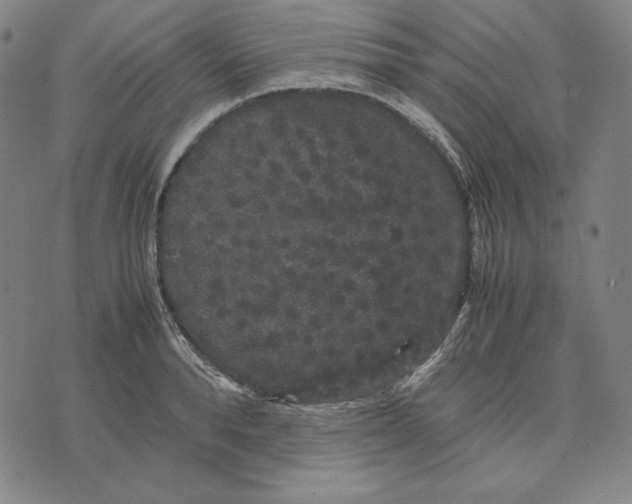 X0000071900896200607281800