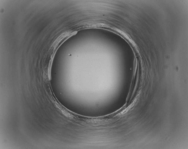 X0000071900897200607281800