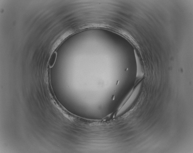 X0000071900898200607281800