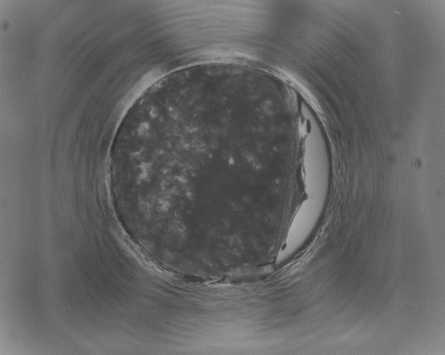 X0000071900899200607281800