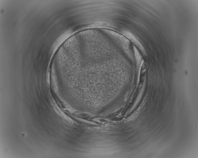 X0000071900900200607281800