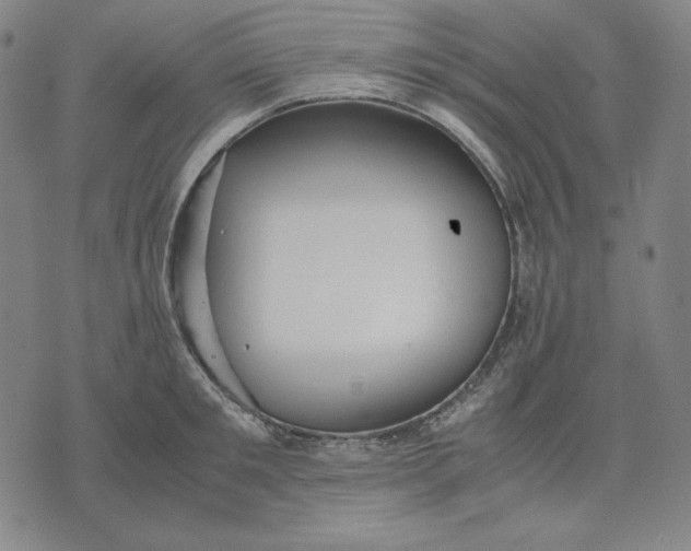 X0000071900901200607281800