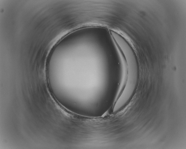 X0000071900902200607281800