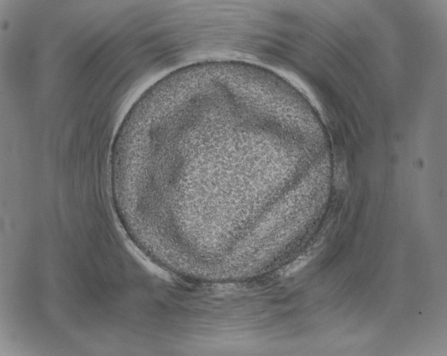 X0000071900903200607281800