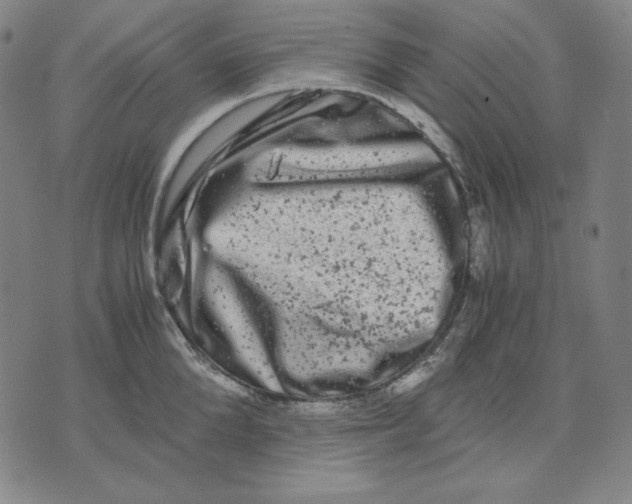 X0000071900904200607281800