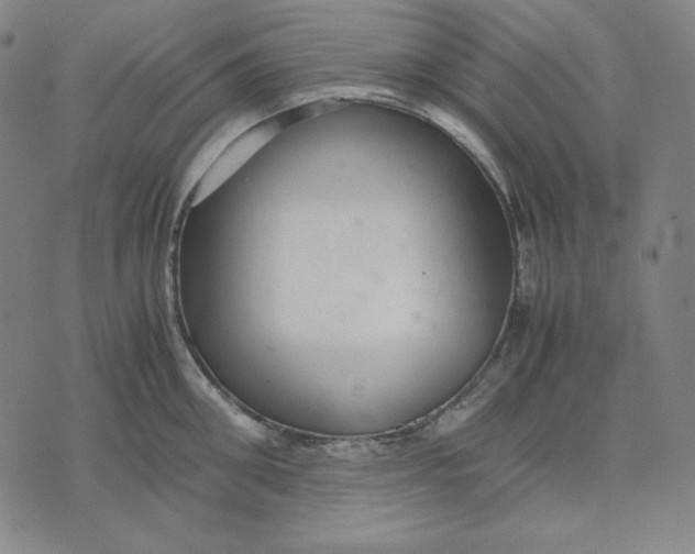 X0000071900906200607281800