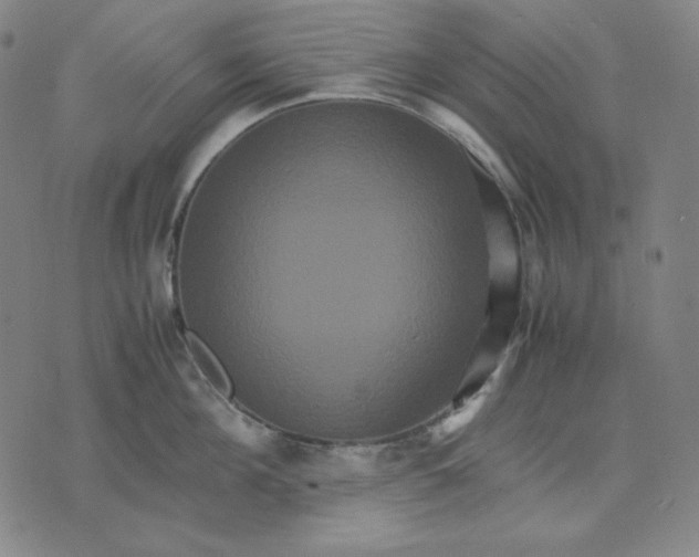 X0000071900908200607281800