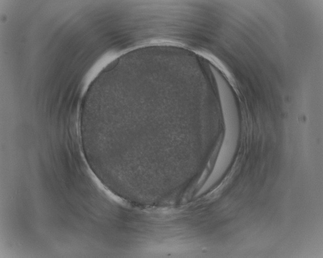 X0000071900910200607281800