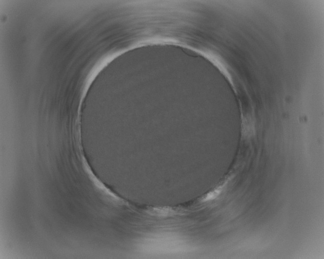 X0000071900911200607281800