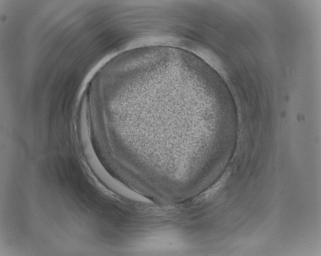 X0000071900912200607281800