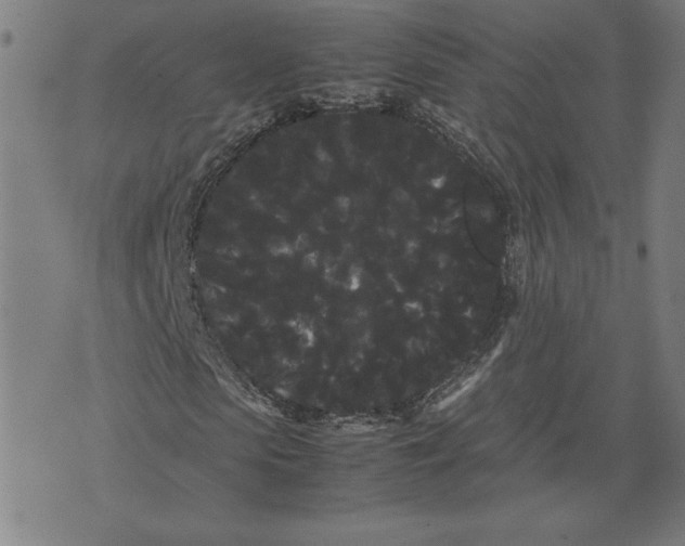 X0000071900913200607281759