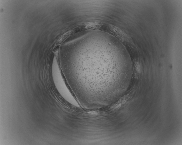 X0000071900914200607281759