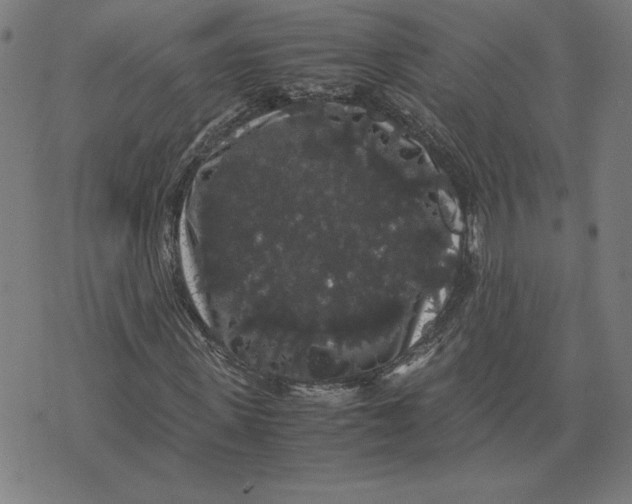 X0000071900915200607281759