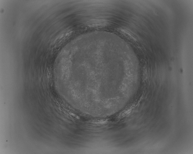 X0000071900917200607281759