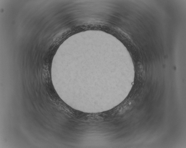 X0000071900918200607281759