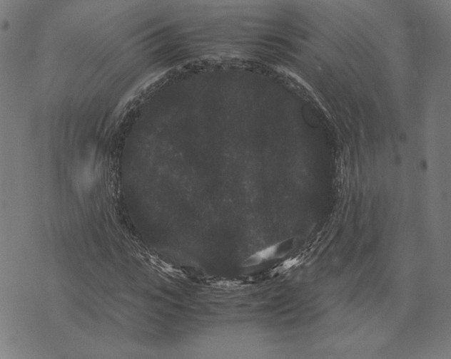 X0000071900919200607281759