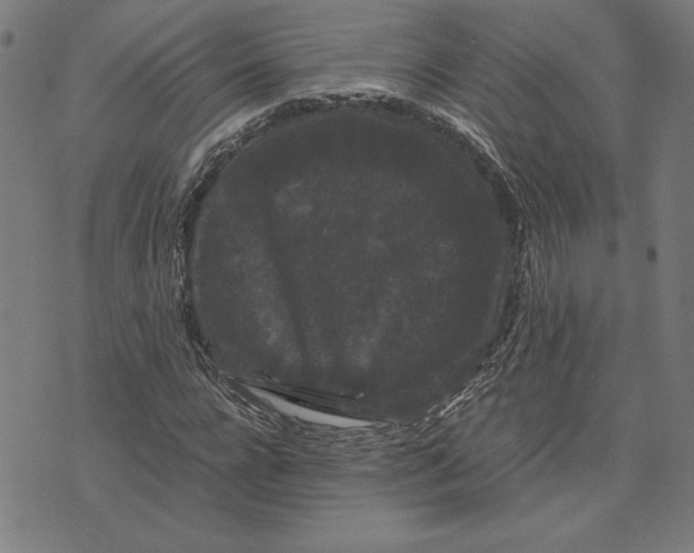 X0000071900920200607281759