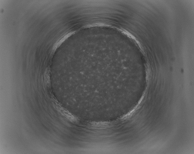 X0000071900921200607281759