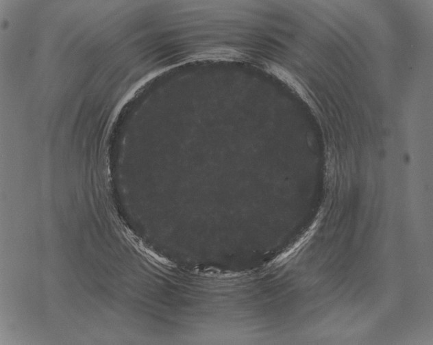 X0000071900923200607281759