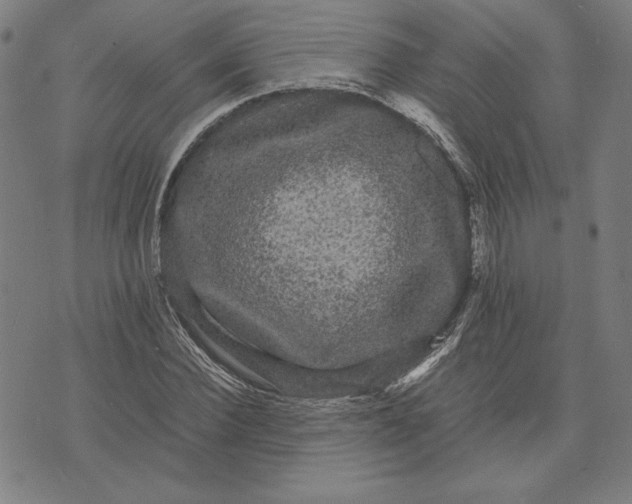 X0000071900924200607281759