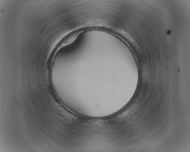 X0000071900926200607281759