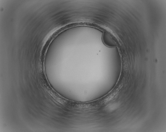 X0000071900927200607281759