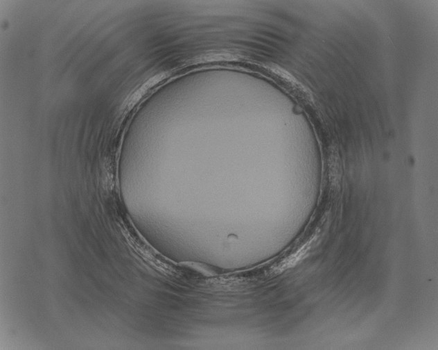 X0000071900929200607281800