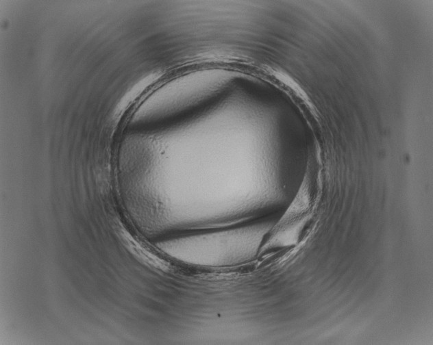 X0000071900930200607281800