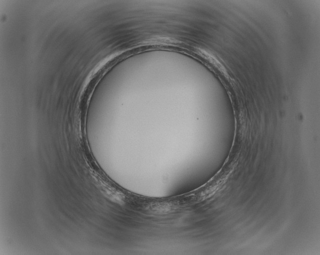 X0000071900931200607281800