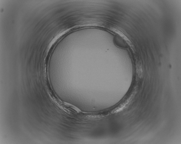 X0000071900933200607281800