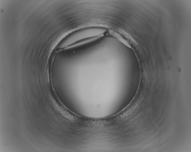 X0000071900934200607281800