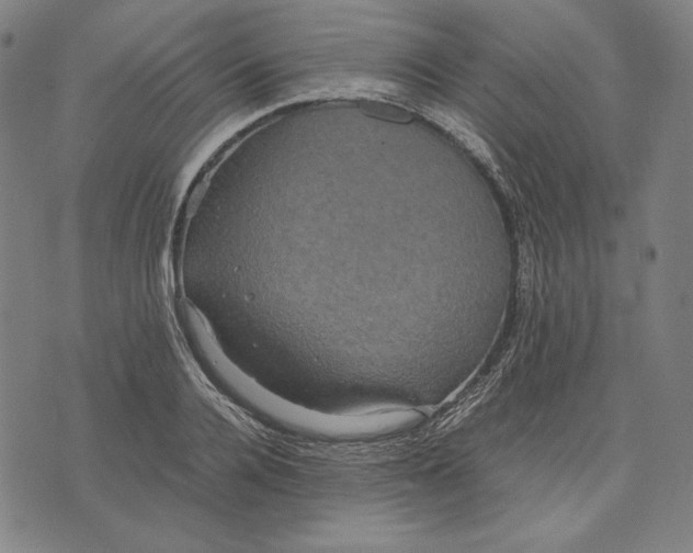 X0000071900936200607281800