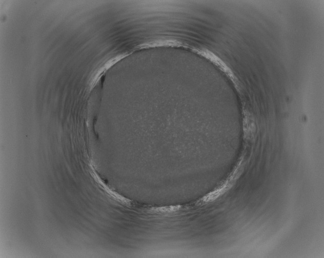 X0000071900937200607281800