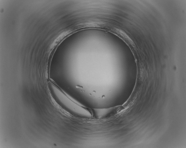 X0000071900938200607281800