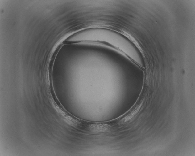 X0000071900939200607281800