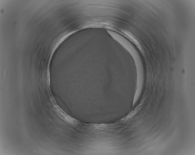 X0000071900940200607281800