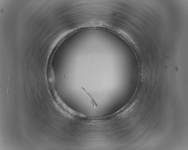 X0000071900942200607281800