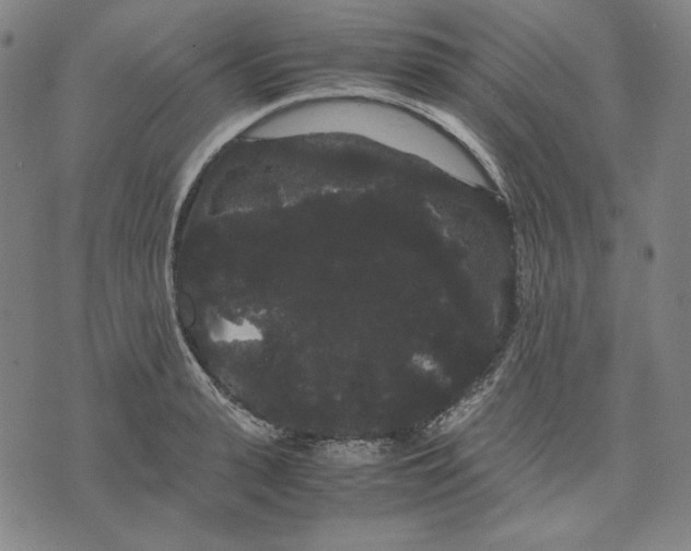 X0000071900943200607281800