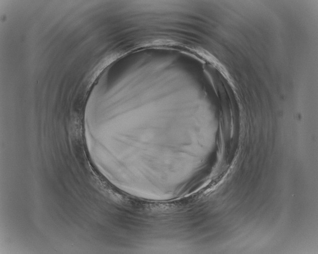 X0000071900945200607281800