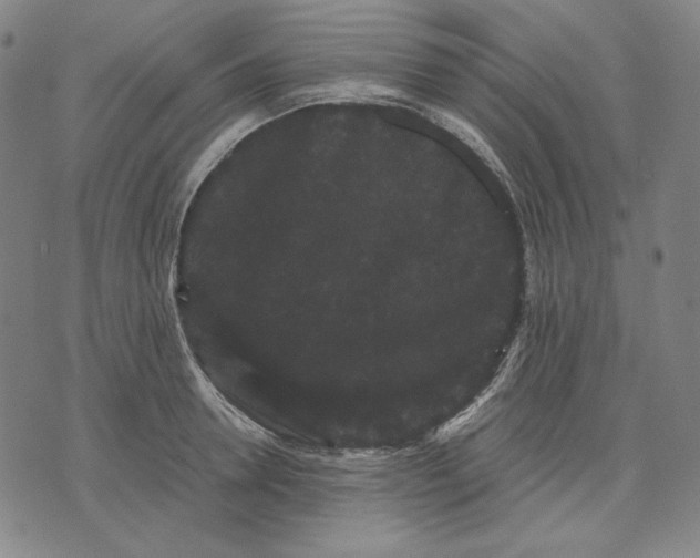 X0000071900946200607281800