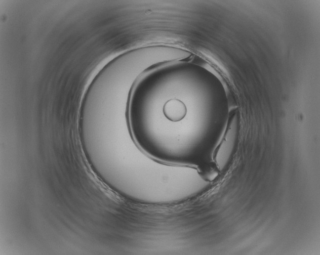 X0000071900948200607281800