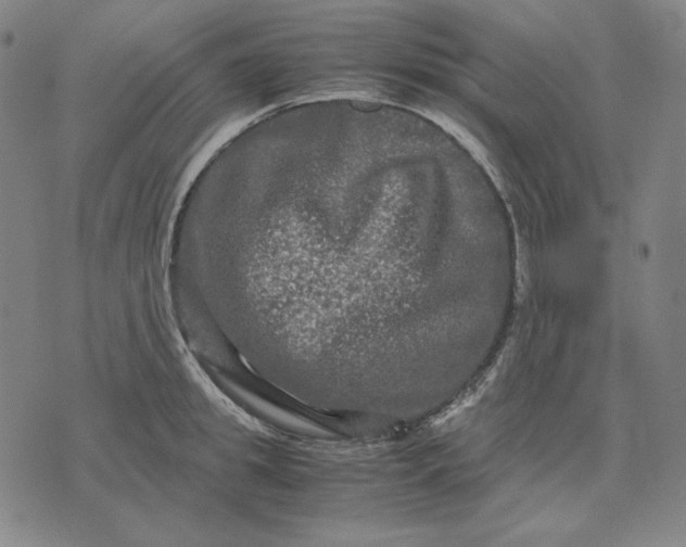 X0000071900949200607281800